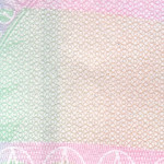 рис. 17 (Реверс 200 гривень 2021 Україна)